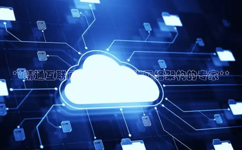 凯捷携程**精通互联网云计算：成为网络架构的专家**