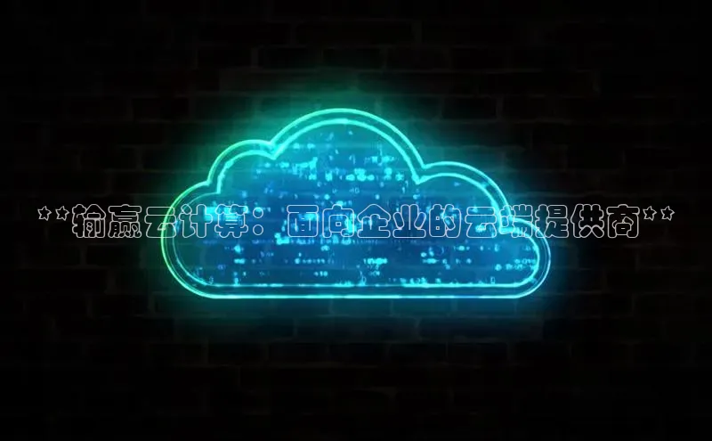 意昂4凯捷宇信科技**输赢云计算：面向企业的云端提供商**