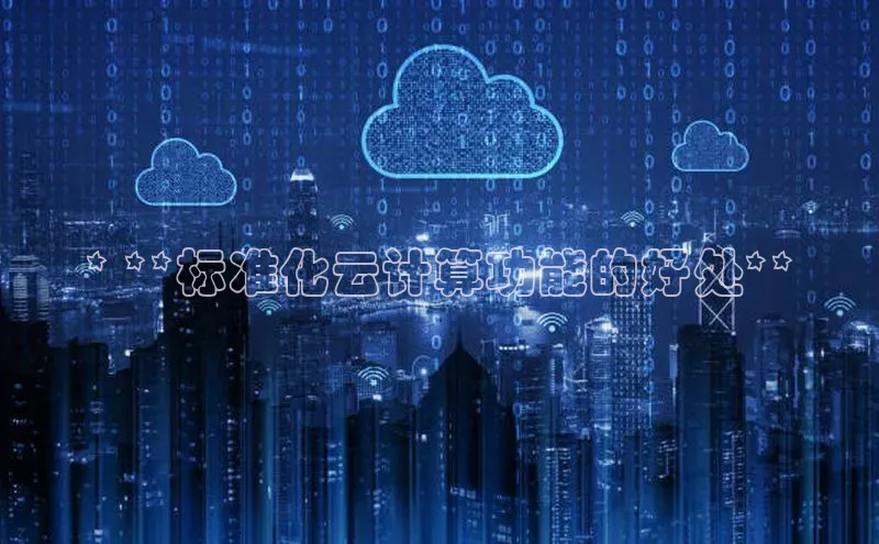 凯捷娱乐滴滴出行* **标准化云计算功能的好处**