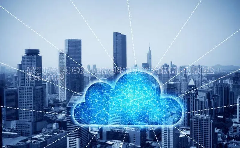 意昂4凯捷体育颐驰 06冀州小艺云计算机：云计算领域的领先创新者，助力企业
数字化转型