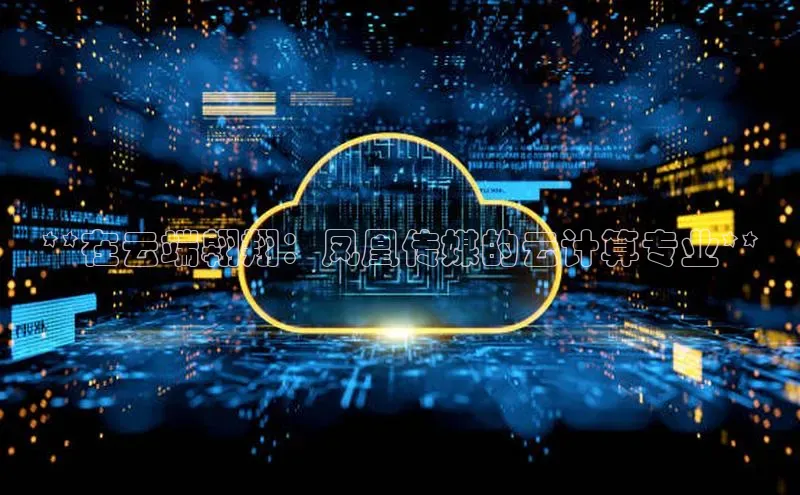 凯捷彩讯股份**在云端翱翔：凤凰传媒的云计算专业**